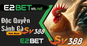 Nhà cái e2bet Độc Quyền Đá Gà Thomo Sv388